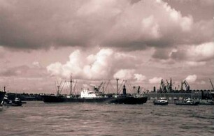 Hamburg: Hafen, Landungsbrücken, Frachter im Rosshafen