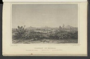 Plateau of Puebla.