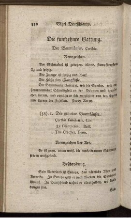Die funfzehnte Gattung. Der Baumläufer.