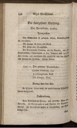 Die funfzehnte Gattung. Der Baumläufer.