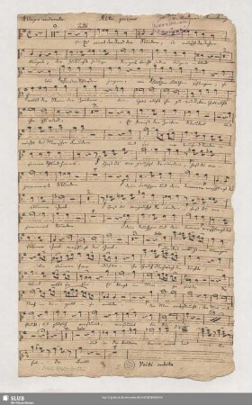 [Solo and coro:] Alto primo