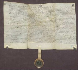 Gültbrief des Jakob Rainfaldt zu Bauschlott gegen die geistliche Verwaltung zu Pforzheim über 100 fl.