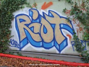 Riot