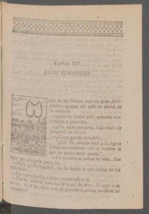 Capítulo VIII - Juicio sumarísimo