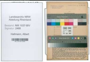 Entnazifizierung Albert Hallmann , geb. 27.03.1886 (Stadtinspektor)