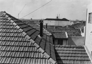 Die Dächer von Campinas : Blick vom Hotel Novo auf die Dächer der Stadt.