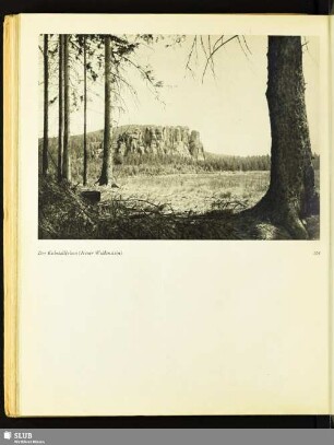 Der Kuhstallfelsen (Neuer Wildenstein)