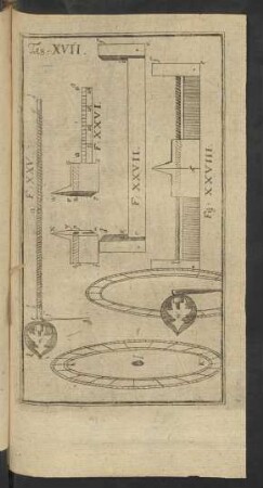 Tab. XVII