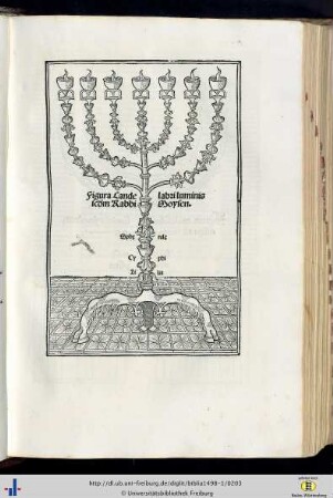 Figura candelabri luminis.