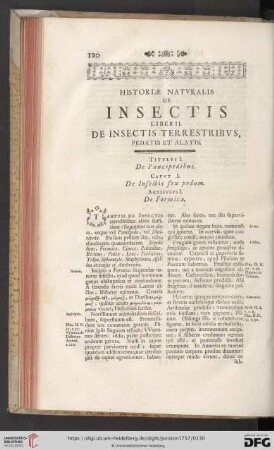 Liber II: De Insectis terrestribvs, pedatis et alatis