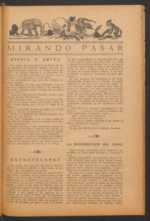 Mirando pasar