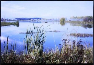 Pfohren: Moorsee im Herbst