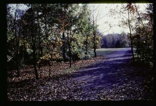Tiergarten 30.10.65.