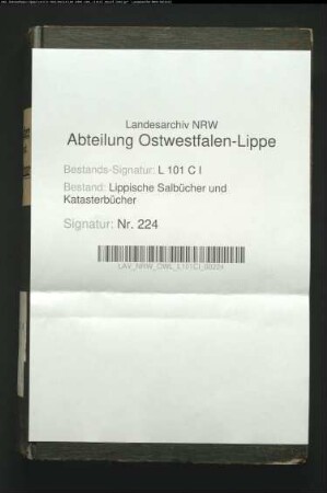 Konzept des Salbuchs des Amtes Schötmar von 1856, Bd. 1