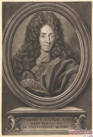 Eucharius Gottlieb Rink, Professor für Öffentliches Recht an der Universität Altdorf
