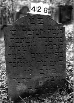Grabstein 428 (Index: 99803694) Material: Sandstein Maße HxBxT: 84x59x11 cm Beschreibung: Stele mit Segmentbogenabschluß, Seitenakroterien: Grabstein 428 (1)