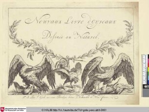 Titelblatt: Novaux Livre d'oyseaux Definée au Naturel