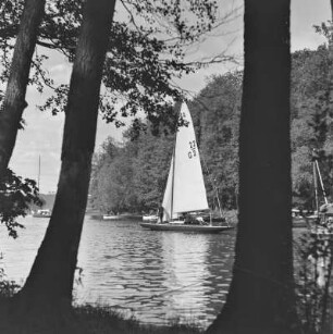 Segelboote auf der Havel