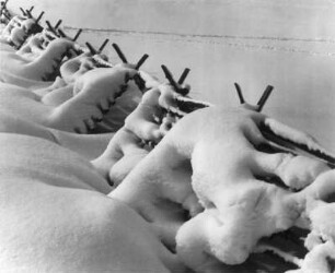 Winterwege zwischen den Orten Zinnwald-Georgenfeld und Rehefeld-Zaunhaus, Schneezaun, hölzerne Konstruktion als Schutz vor Schneeverwehungen