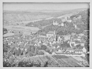 Blick aus Richtung Wartberg auf Altstadt, Burg, Eisenbahnbrücke, Baumschule Scheurich und unbebauten Grundstücken