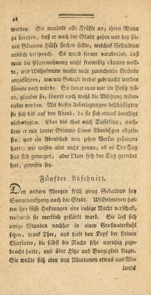 Fünfter Abschnitt.