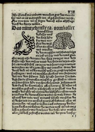 Das nüntzehenste ca. vom Koller