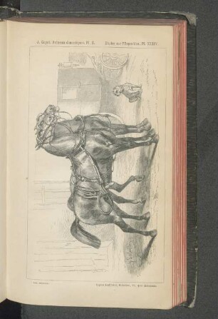 Pl. XXXIV.