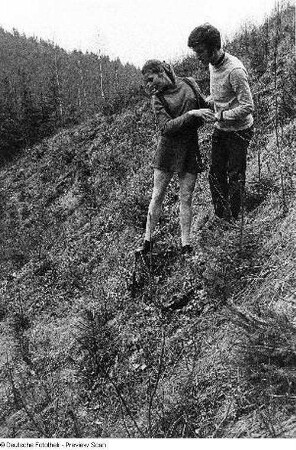 Bildergeschichte. Ein Paar beim Spazierengehen in der Natur