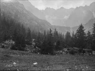 Wald und Gebirge : Ein Wald in einem Bergtal. Im Hintergrund hohes Gebirge