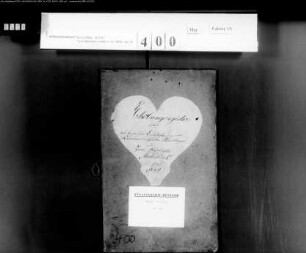 Beaufsichtigung der Kommunal- und Institutenwaldungen