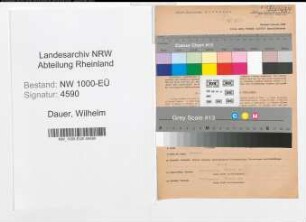 Entnazifizierung Wilhelm Dauer, geb. 18.09.1903 (Stadtinspektor)