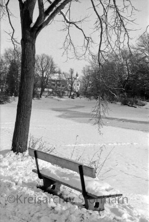Neuhöfer Teich: vorn Bank und Baum: am gegenüberliegenden Ufer Häuser zwischen Bäumen und Büschen: Winter