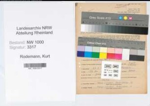 Entnazifizierung Kurt Rodemann, geb. 23.03.1909 (Pastor)