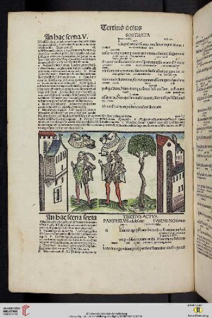 Tertius actus