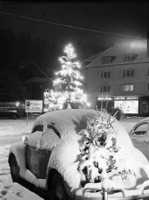 Freiburg: VW mit Tannenbaum auf Gepäckträger