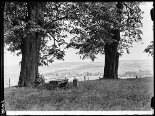 Blick von den 7 Linden auf Steinigtwolmsdorf