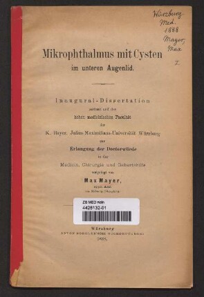 Mikrophthalmus mit Cysten im unteren Augenlid