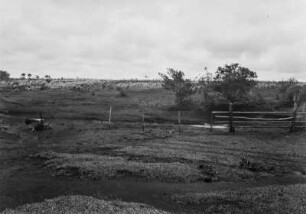 Weideland : Blick über das Weideland eines Gehöfts.