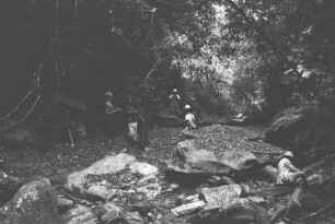 Tal bei der unteren Höhle von Namjani : Dschungellandschaft mit Felsen und Expeditionsmitgliedern