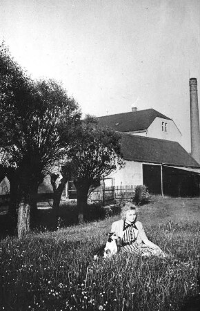Wilsdruff-Blankenstein. Ober- oder Krillemühle, Ansicht, Repro