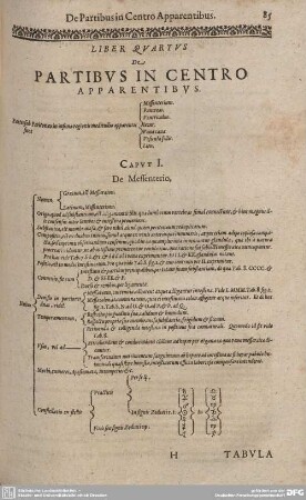 Liber Quartus. De Partibus in Ventro Apparentibus.