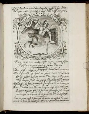 [Abb. 11. - Abb. 20.]