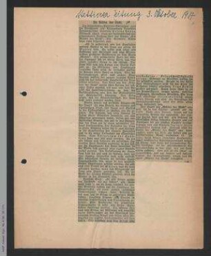 Zeitungsartikel zur 29. Generalversammlung des ADF 1917 in Stettin