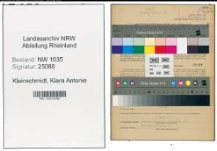 Entnazifizierung Klara Antonie Kleinschmidt , geb. 26.05.1908 (Buchhalterin)