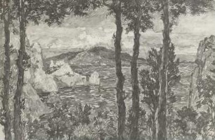 Blick auf Capri