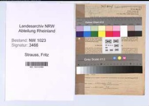 Entnazifizierung Fritz Strauss , geb. 20.05.1903 (Gaertner)