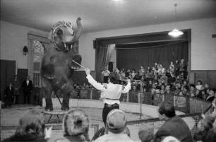 Auftritt des Zirkus "Frankello" im Gemeindesaal der Christkönig-Pfarrei in Rüppurr.