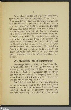 Der Körperbau der Weinbergschnecke