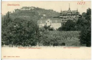 Oberlößnitz. Wilhelmshöhe, Bilz Naturheilanstalt