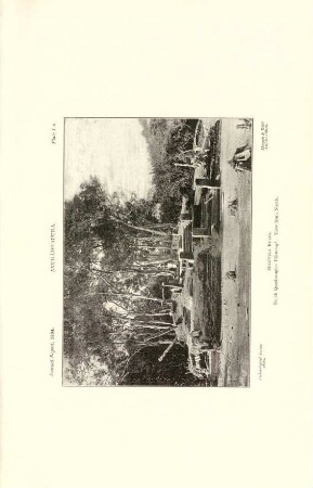 Plate I*. Anurádhapura. Toluvila ruins. North quadrangle: Pilima-gé. View from north.